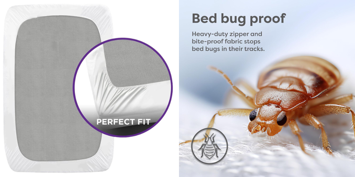 AllergyBlock EVA Mattress Cover